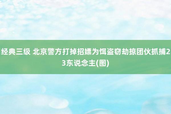 经典三级 北京警方打掉招嫖为饵盗窃劫掠团伙抓捕23东说念主(图)