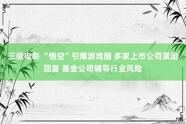 三级电影 “悟空”引爆游戏圈 多家上市公司紧迫回复 基金公司辅导行业风险