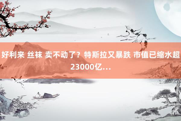 好利来 丝袜 卖不动了？特斯拉又暴跌 市值已缩水超23000亿…