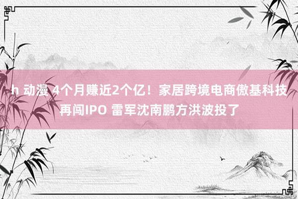 h 动漫 4个月赚近2个亿！家居跨境电商傲基科技再闯IPO 雷军沈南鹏方洪波投了