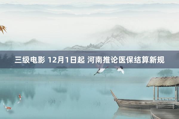 三级电影 12月1日起 河南推论医保结算新规