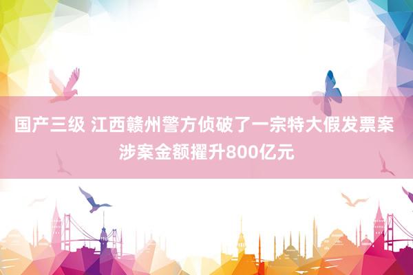 国产三级 江西赣州警方侦破了一宗特大假发票案 涉案金额擢升800亿元