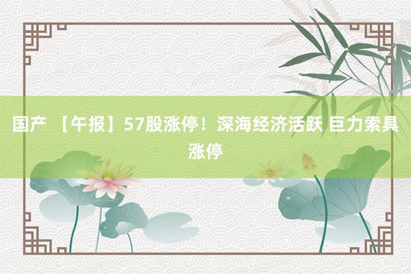 国产 【午报】57股涨停！深海经济活跃 巨力索具涨停
