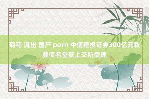 菊花 流出 国产 porn 中信建投证券300亿元私募债名堂获上交所受理